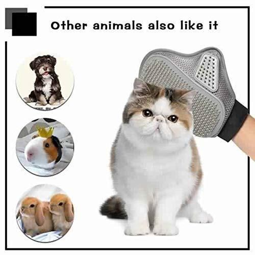 Stainless Steel Pet Grooming Glove - Gentle Deshedding Brush - Nithin's Garage