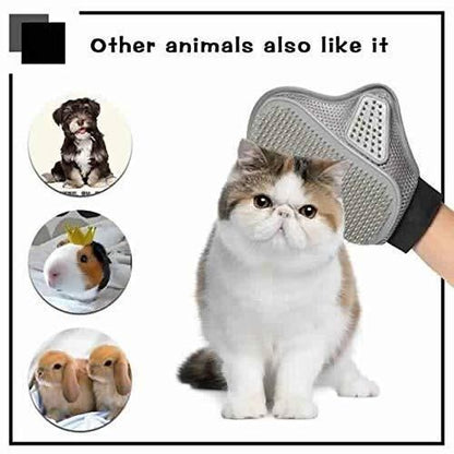 Stainless Steel Pet Grooming Glove - Gentle Deshedding Brush - Nithin's Garage